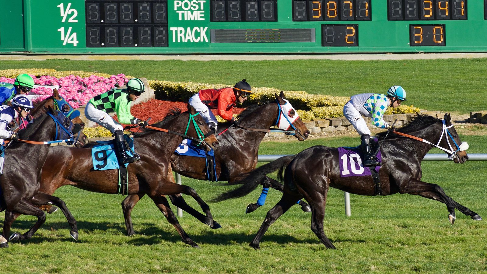 Buy Horse Racing tickets on StubOrder Horse Racing game action