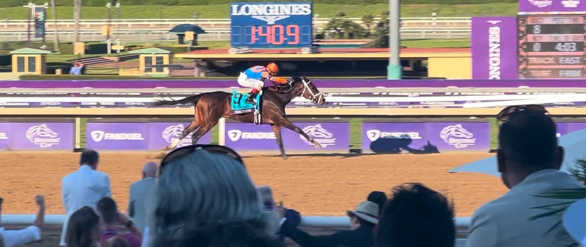 Buy Breeders Cup tickets on StubOrder Fierceness wins the Breeders' Cup Juvenile by 6 1/4 lengths