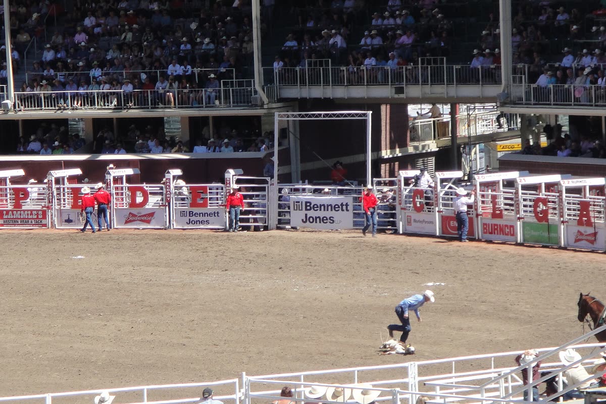 Buy Calgary Stampede Rodeo tickets on StubOrder Tie-down roping event at the Calgary Stampede rodeo, 2010