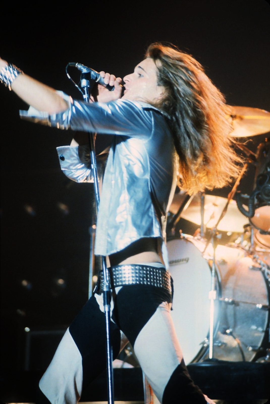 David Lee Roth performing live - David Lee Roth tickets
