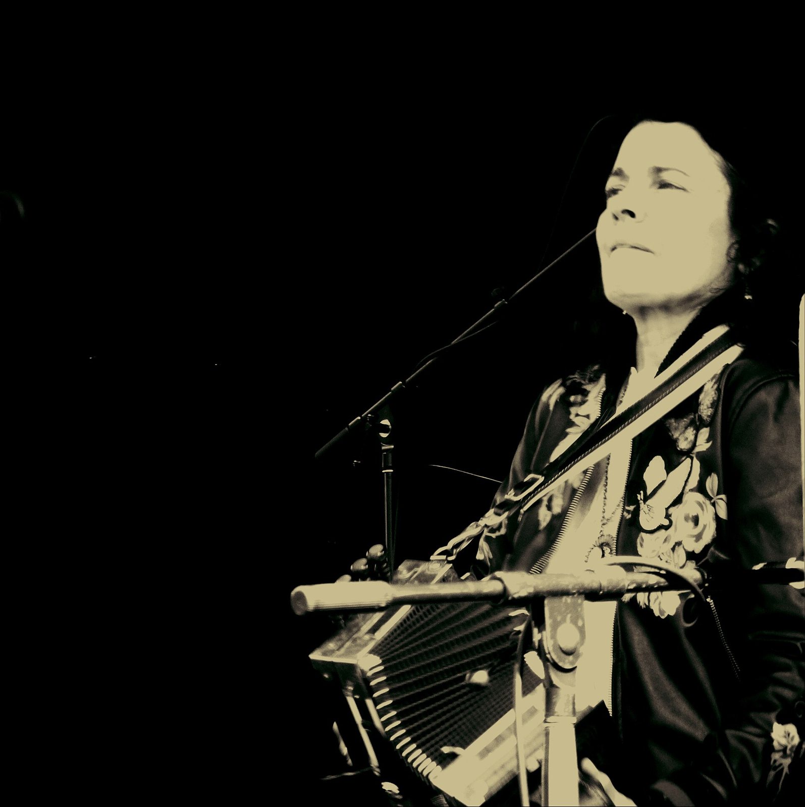 Tara Nevins of Donna the Buffalo playing accordion at MerleFest, North Carolina, 2018