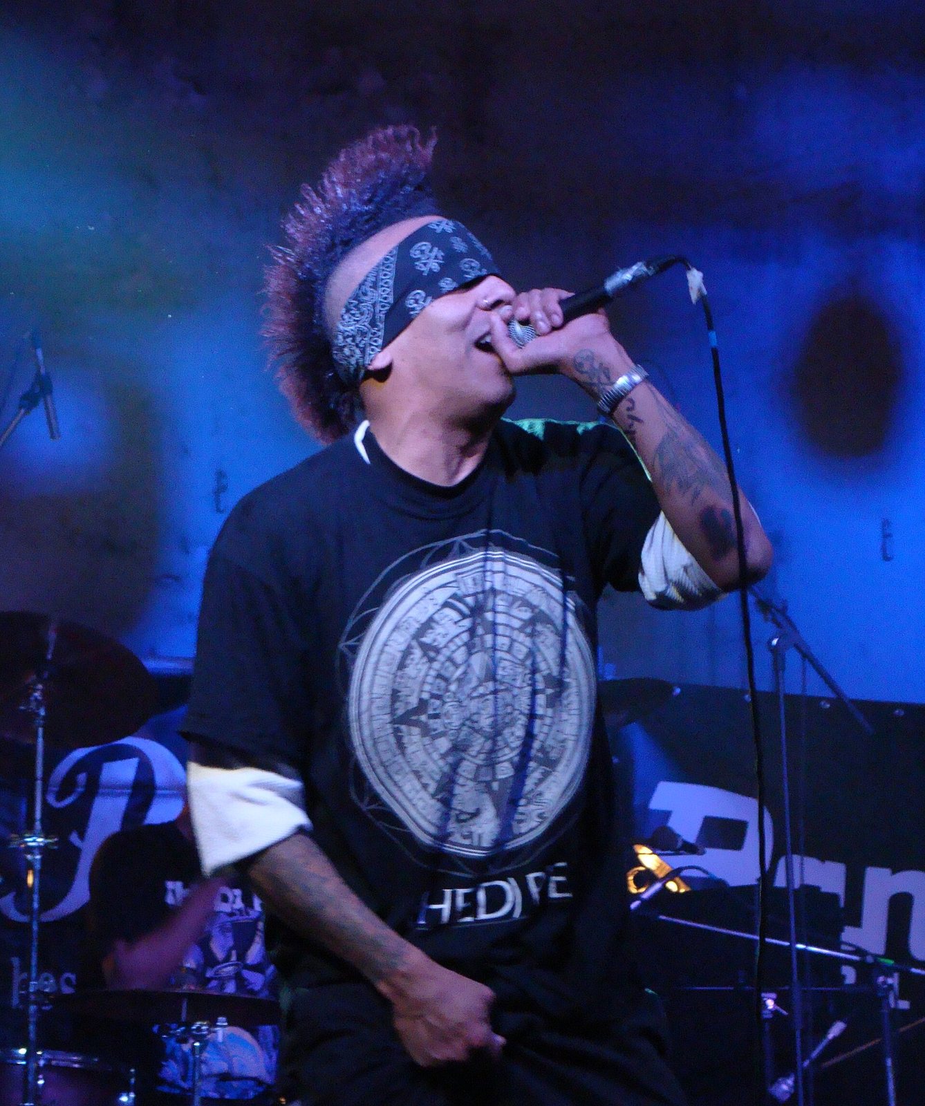 Hed PE singer MCUD performing at the Ruynatsiya Festival in Lviv, 2012