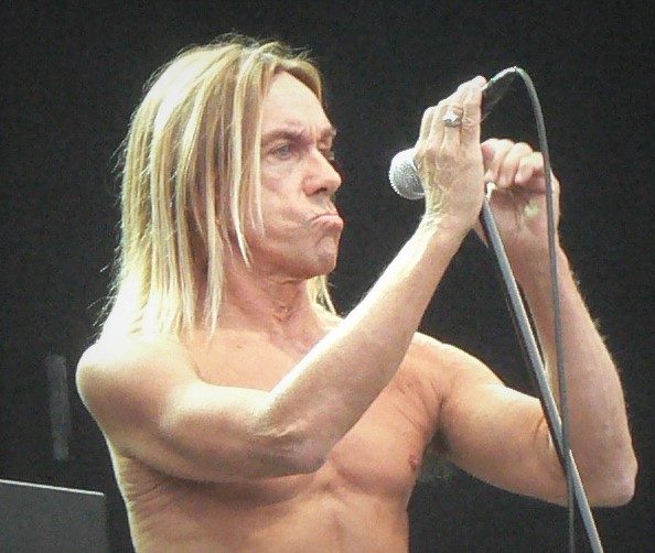 Iggy Pop performing live - Iggy Pop tickets