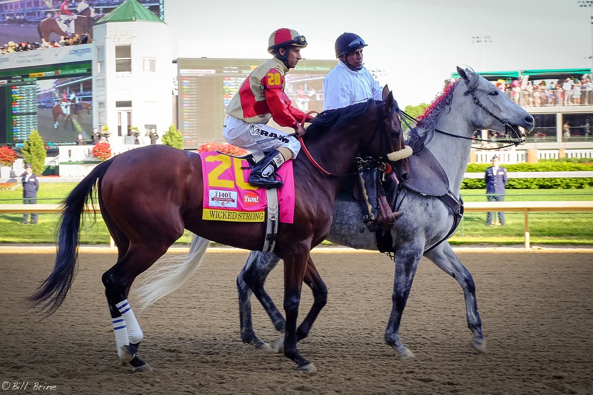 Buy Kentucky Derby tickets on StubOrder Racehorse Wicked Strong on the track at the 2014 Kentucky Derby