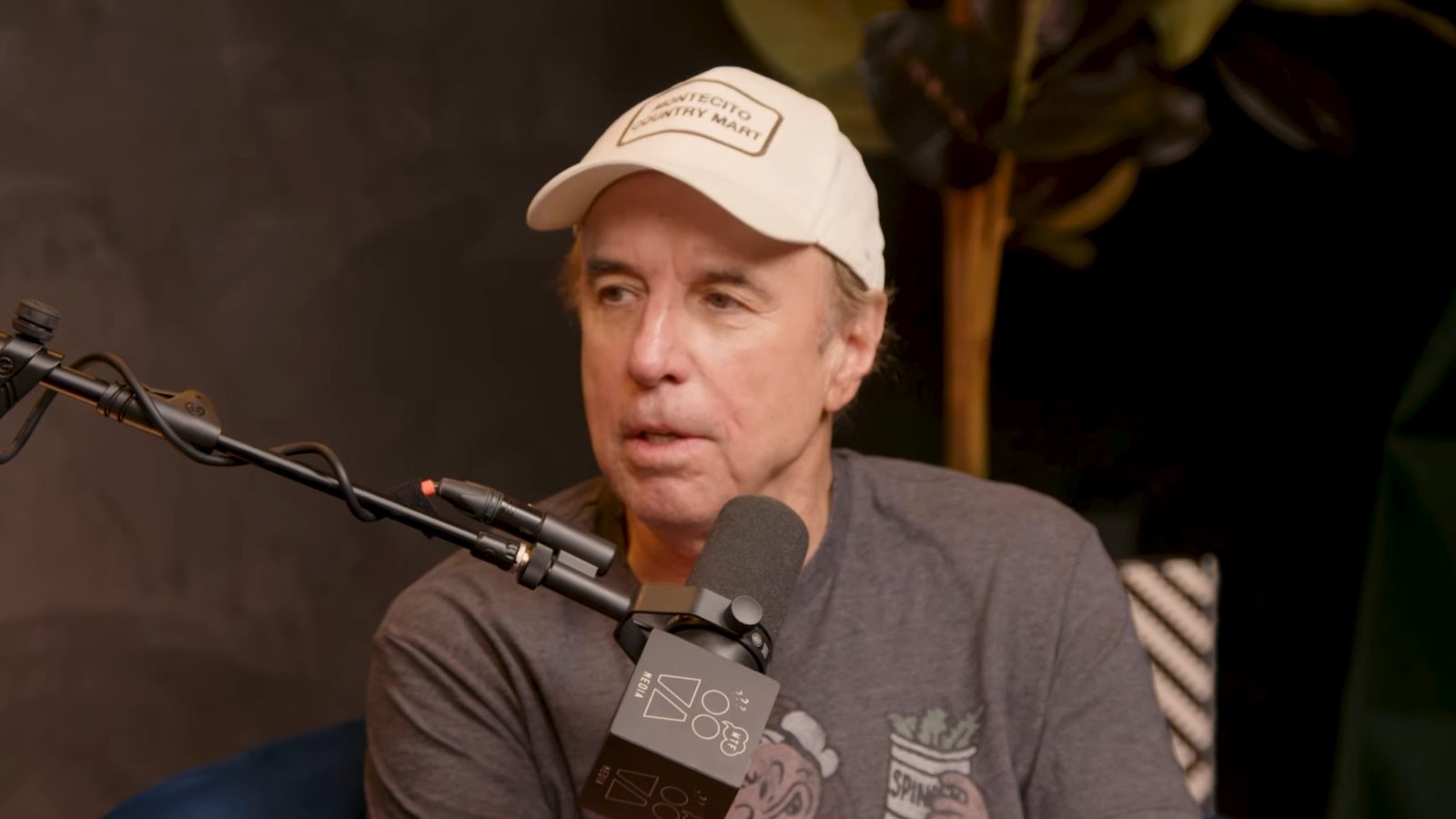 Kevin Nealon performing live - Kevin Nealon tickets