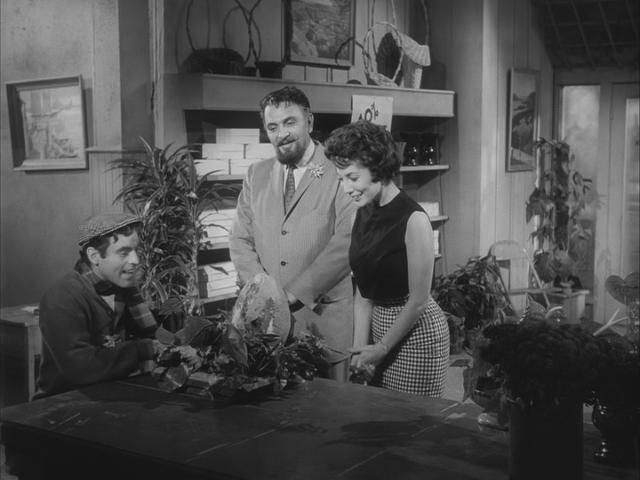 Little Shop of Horrors - Film performing live - Little Shop of Horrors - Film tickets