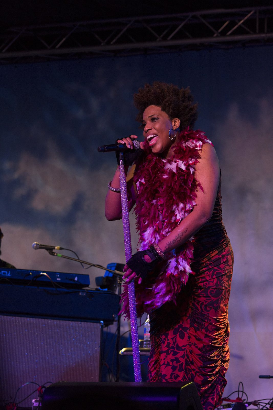 Macy Gray singing on stage at the Blue Mountains Music Festival, 2015