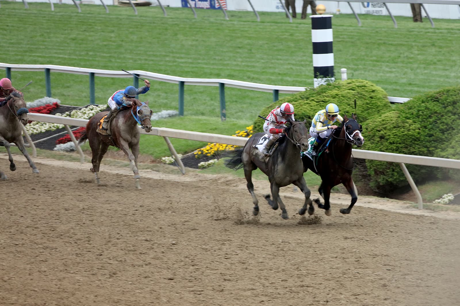 Cloud Computing overtaking Classic Empire in the 2017 Preakness Stakes - Preakness Stakes tickets