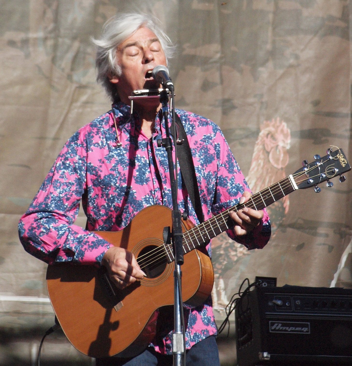 Robyn Hitchcock performing at the Hardly Strictly Bluegrass festival, San Francisco, 2012