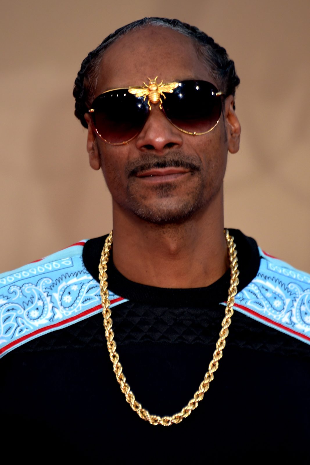 Snoop Dogg performing live - Snoop Dogg tickets
