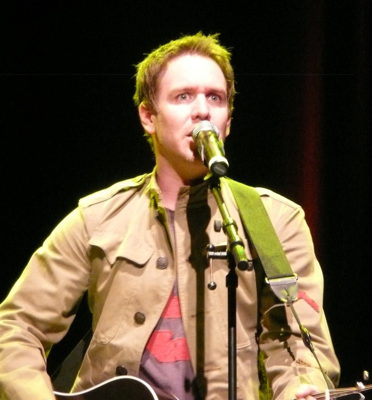 Stephen Lynch singing and playing guitar in concert, 2008
