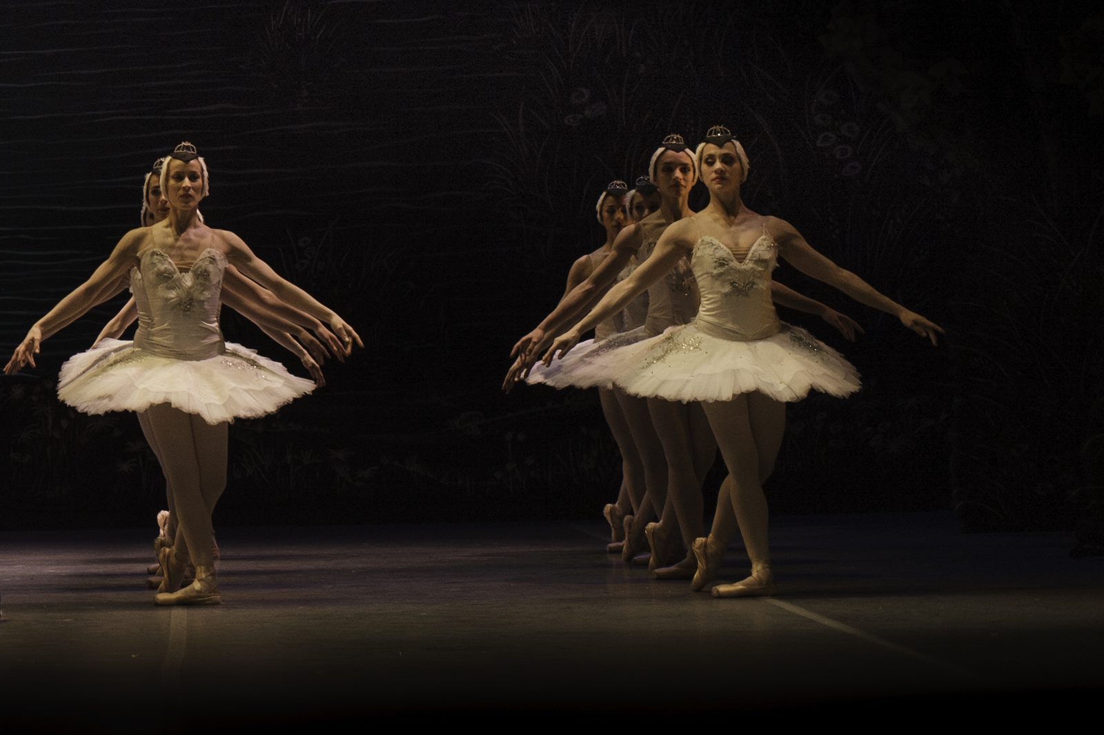 Swan Lake performing live - Swan Lake tickets