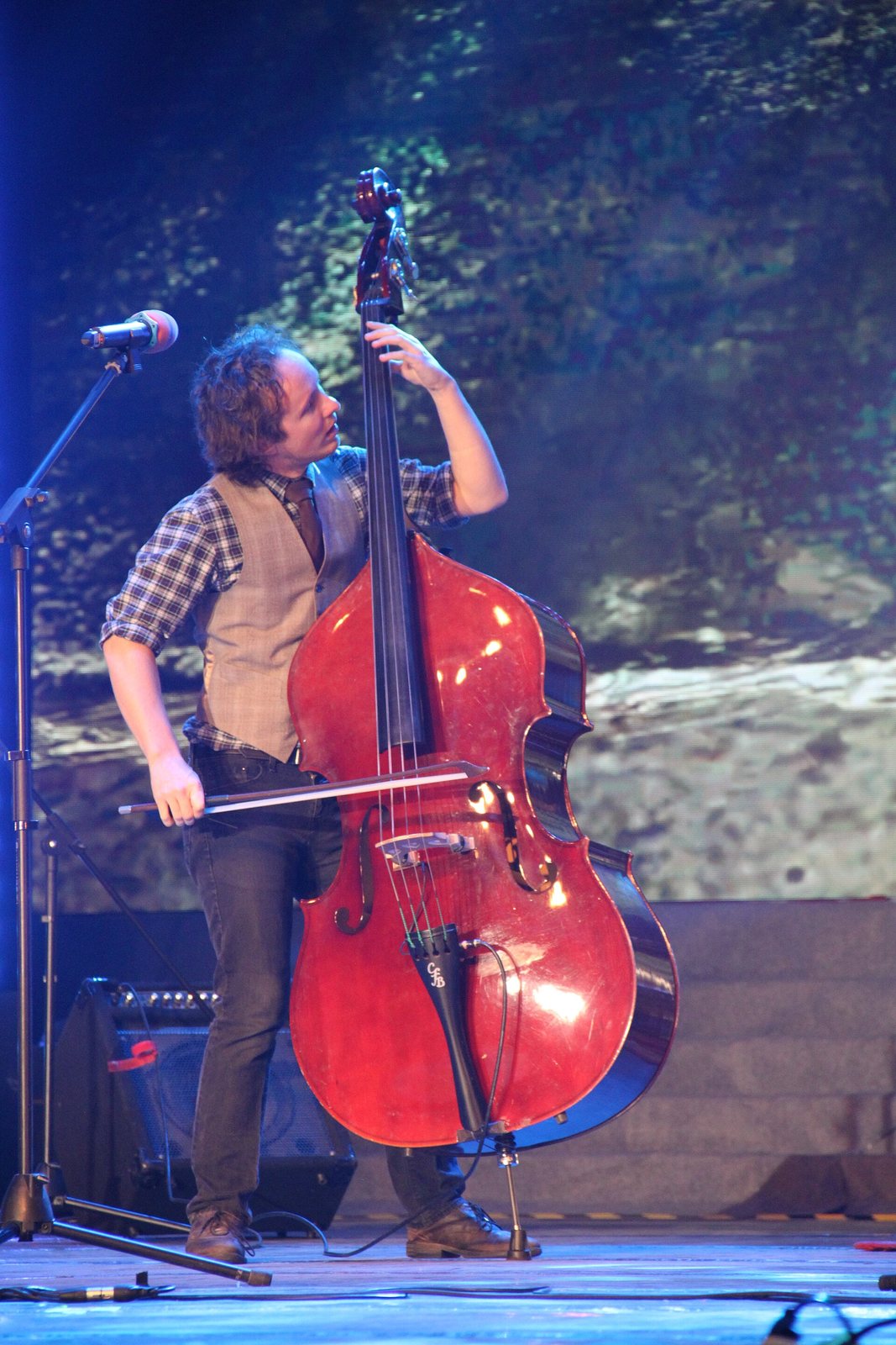 The Dustbowl Revival's bassist on stage at Sias University International Culture Week, Xinzheng, China, 2015