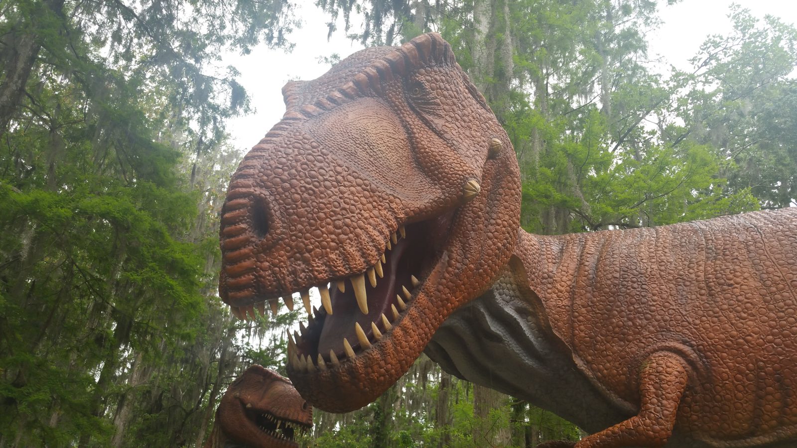 Dinosaur World - FL event venue - Dinosaur World - FL tickets